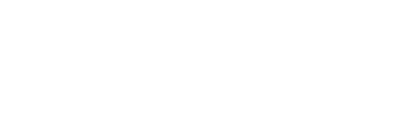Synergy Foundation Logo